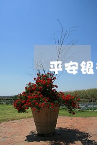 平安银行车贷逾期后来补上怎么扣