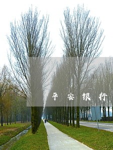 平安银行车贷逾期多久会收车 平安银行车贷逾期多久会收车