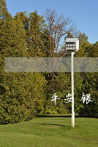 平安银行车贷逾期的后果 平安银行车贷逾期的后果