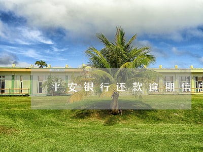 平安银行还款逾期信息 平安银行还款逾期信息