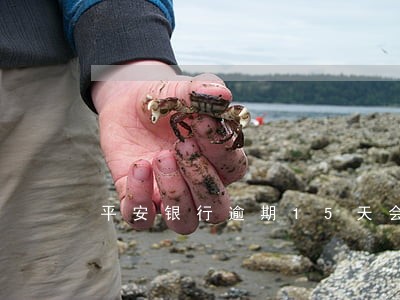 平安银行逾期15天会怎么样