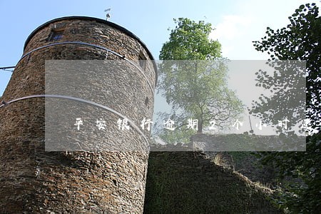 平安银行逾期2个小时还款 平安银行逾期2个小时还款