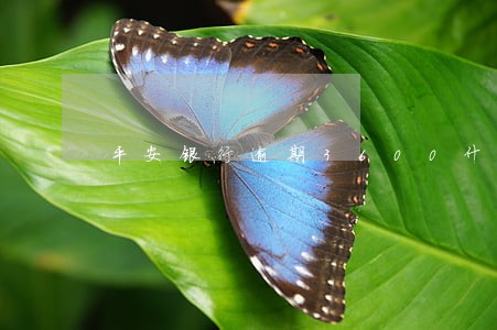 平安银行逾期3600什么后果 平安银行逾期3600什么后果