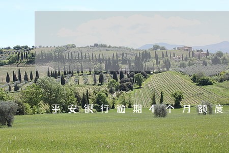 平安银行逾期4个月额度 平安银行逾期4个月额度