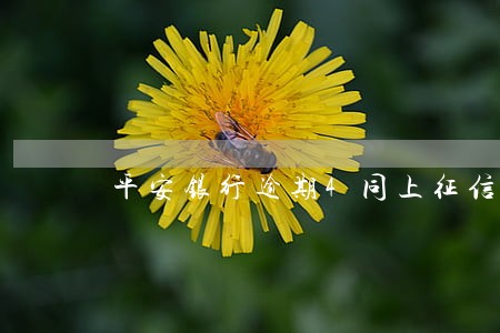 平安银行逾期4同上征信吗 平安银行逾期4同上征信吗