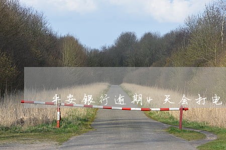 平安银行逾期4天会打电话吗 平安银行逾期4天会打电话吗