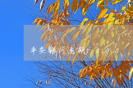 平安银行逾期5000 平安银行逾期5000