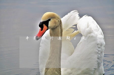 平安银行逾期6天 平安银行逾期6天