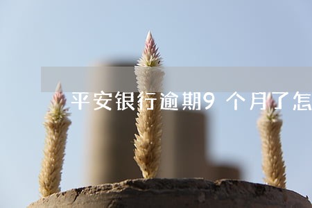 平安银行逾期9个月了怎么协商 平安银行逾期9个月了怎么协商