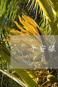 平安银行逾期一天会怎么样 平安银行逾期一天会怎么样