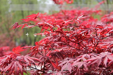 平安银行逾期一天会怎样 平安银行逾期一天会怎样