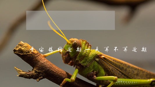 平安银行逾期一天算不算逾期 平安银行逾期一天算不算逾期