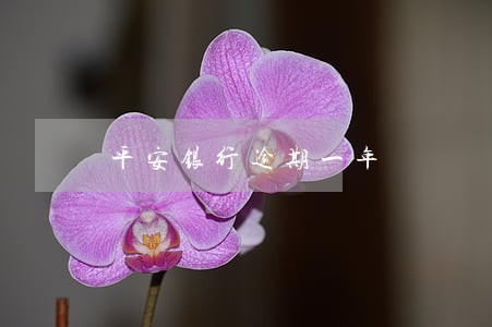 平安银行逾期一年 平安银行逾期一年