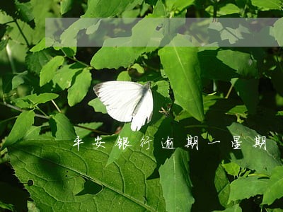平安银行逾期一星期 平安银行逾期一星期