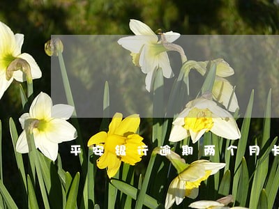 平安银行逾期两个月卡异常 平安银行逾期两个月卡异常