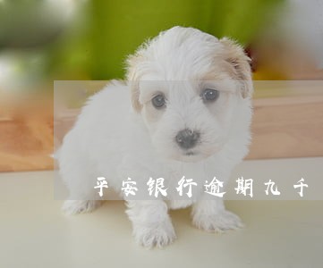 平安银行逾期九千多会上门吗