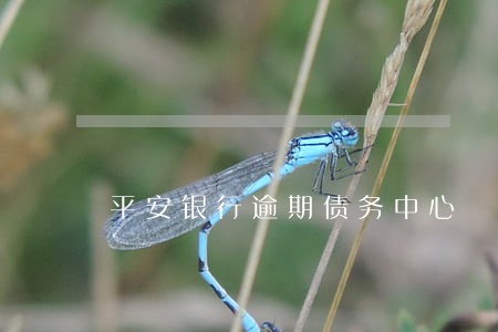 平安银行逾期债务中心 平安银行逾期债务中心