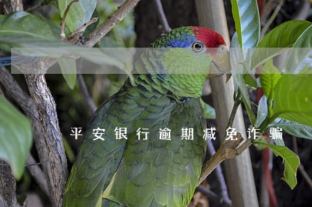 平安银行逾期减免诈骗 平安银行逾期减免诈骗