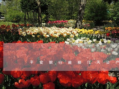 平安银行逾期几天会产生利息 平安银行逾期几天会产生利息
