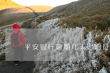 平安银行逾期几天影响征信