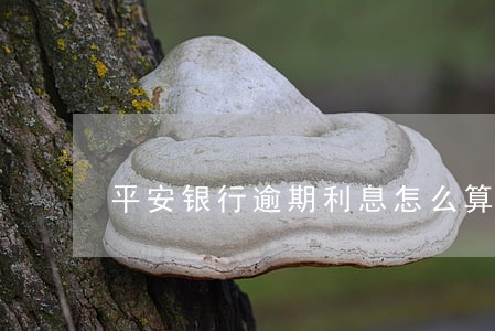 平安银行逾期利息怎么算的中国 平安银行逾期利息怎么算的中国