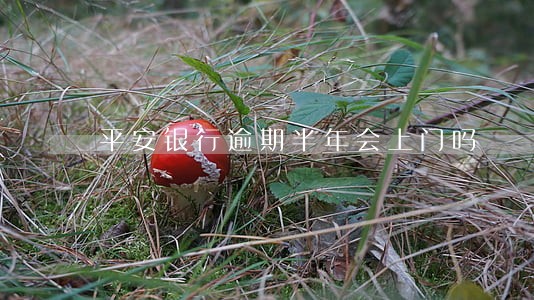 平安银行逾期半年会上门吗 平安银行逾期半年会上门吗
