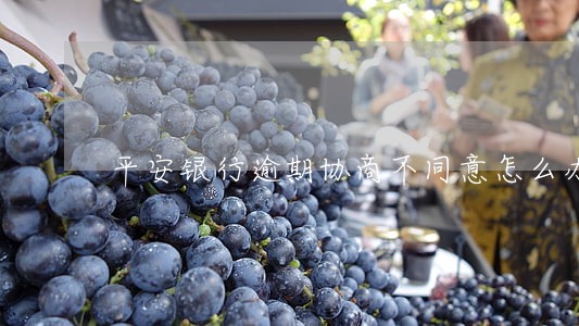 平安银行逾期协商不同意怎么办 平安银行逾期协商不同意怎么办