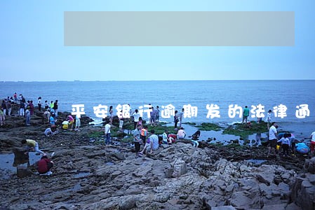 平安银行逾期发的法律通知书 平安银行逾期发的法律通知书
