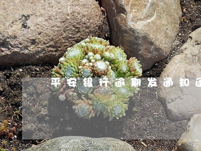 平安银行逾期发通知函 平安银行逾期发通知函