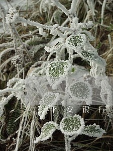 平安银行逾期后续 平安银行逾期后续