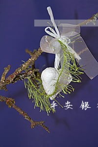 平安银行逾期四天上征信吗