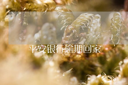 平安银行逾期回家 平安银行逾期回家