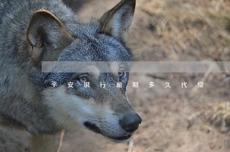 平安银行逾期多久代偿 平安银行逾期多久代偿