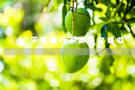 平安银行逾期多久催收 平安银行逾期多久催收