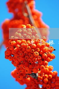 平安银行逾期多久走司法程序