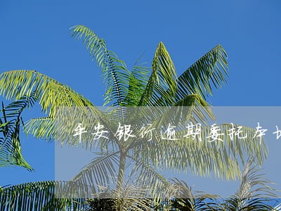 平安银行逾期委托本地经侦 平安银行逾期委托本地经侦