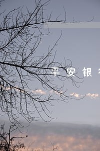 平安银行逾期怎么也有催收 平安银行逾期怎么也有催收