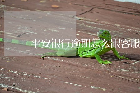 平安银行逾期怎么跟客服协商 平安银行逾期怎么跟客服协商