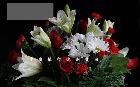平安银行逾期截图 平安银行逾期截图