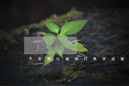 平安银行逾期打电话说要上门吗 平安银行逾期打电话说要上门吗