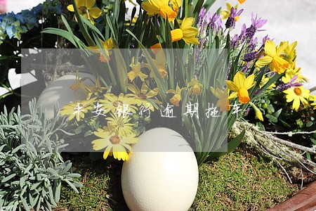 平安银行逾期拖车 平安银行逾期拖车