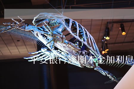 平安银行逾期本金加利息8700