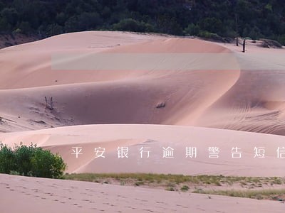 平安银行逾期警告短信 平安银行逾期警告短信