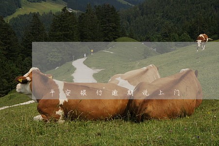 平安银行逾期说上门 平安银行逾期说上门