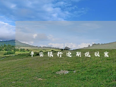 平安银行逾期说报案 平安银行逾期说报案
