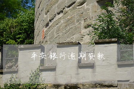平安银行逾期贷款 平安银行逾期贷款