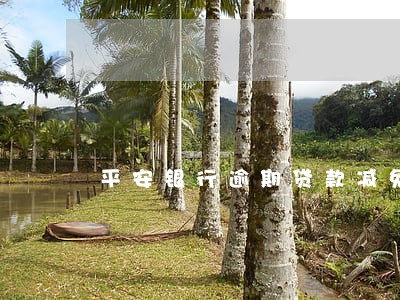 平安银行逾期贷款减免程序 平安银行逾期贷款减免程序
