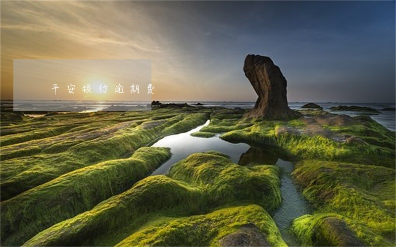 平安银行逾期费 平安银行逾期费