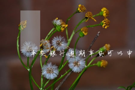 平安银行逾期车贷可以申诉吗 平安银行逾期车贷可以申诉吗