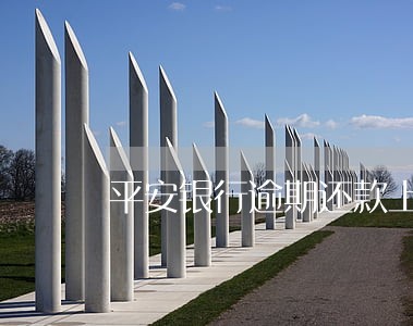 平安银行逾期还款上征信 平安银行逾期还款上征信